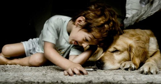 12 Things Your Dog Can Sense Before They Happen – Amazing! - matrix-studios.com