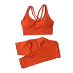SOISOU Nylon Yoga Set Women's Tracksuit Gym Fitness Set Woman 2 Pieces Leggings Sports Bra Breathable Sportwear Woman Clothes - Matrix-studios.com