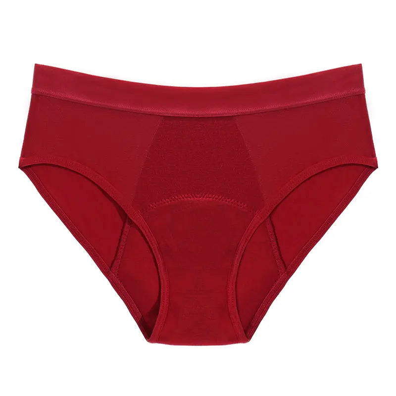 4-Layer Leakproof Menstrual Period Panties Fast Absorbent Underwear Sexy Lace Women Menstrual Briefs Plus Size Lingerie 5XL 6XL - Matrix Studios
