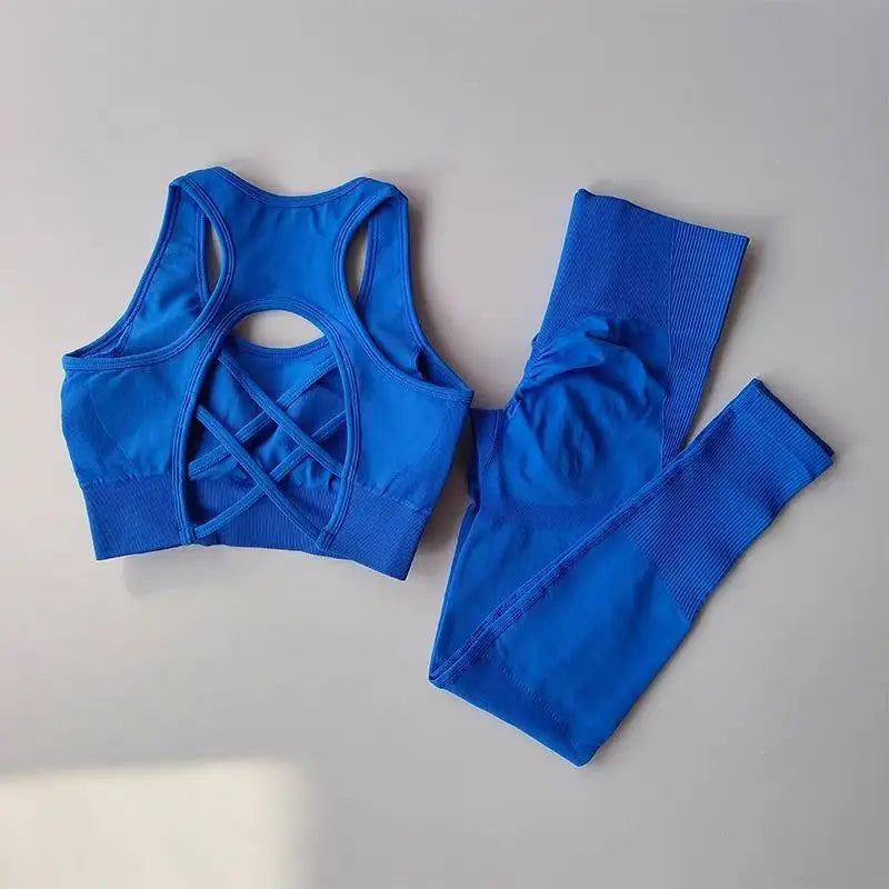 2PCS Sports Bra Women's Set Professional Fitness Tank Top Bra Shockproof Running Leggings Yoga Suit Beautiful Back Bra Clothing - Matrix-studios.com