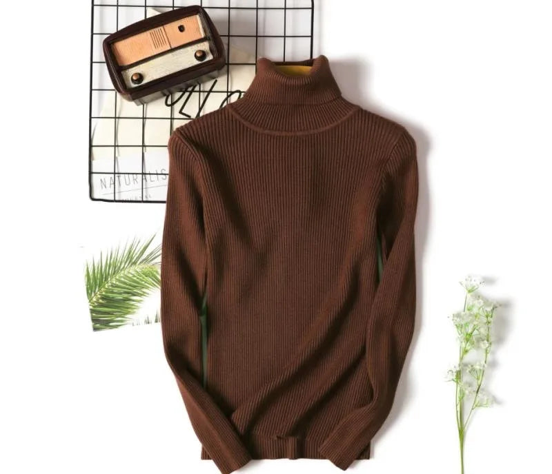 Casual Soft Polo-neck Jumper New Autumn Winter Women Knitted Turtleneck Sweater Fashion Slim Elasticity Solid Ribbed Pullovers - Matrix Studios