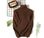 Casual Soft Polo-neck Jumper New Autumn Winter Women Knitted Turtleneck Sweater Fashion Slim Elasticity Solid Ribbed Pullovers - Matrix Studios