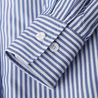 Women Spring Summer Blouses Shirts Lady Fashion Casual Long Sleeve Turn-down Blue Stripes Blusas Tops - Matrix-studios.com