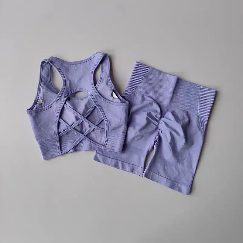 2 PCS Women's Seamless Yoga Set Sexy Sport Bra High Waist Sports Shorts Gym Fitness Sleeveless Workout Suit Sporstwear - Matrix-studios.com