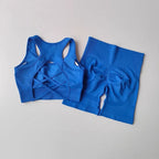 2 PCS Women's Seamless Yoga Set Sexy Sport Bra High Waist Sports Shorts Gym Fitness Sleeveless Workout Suit Sporstwear - Matrix-studios.com