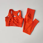 2PCS Sports Bra Women's Set Professional Fitness Tank Top Bra Shockproof Running Leggings Yoga Suit Beautiful Back Bra Clothing - Matrix-studios.com