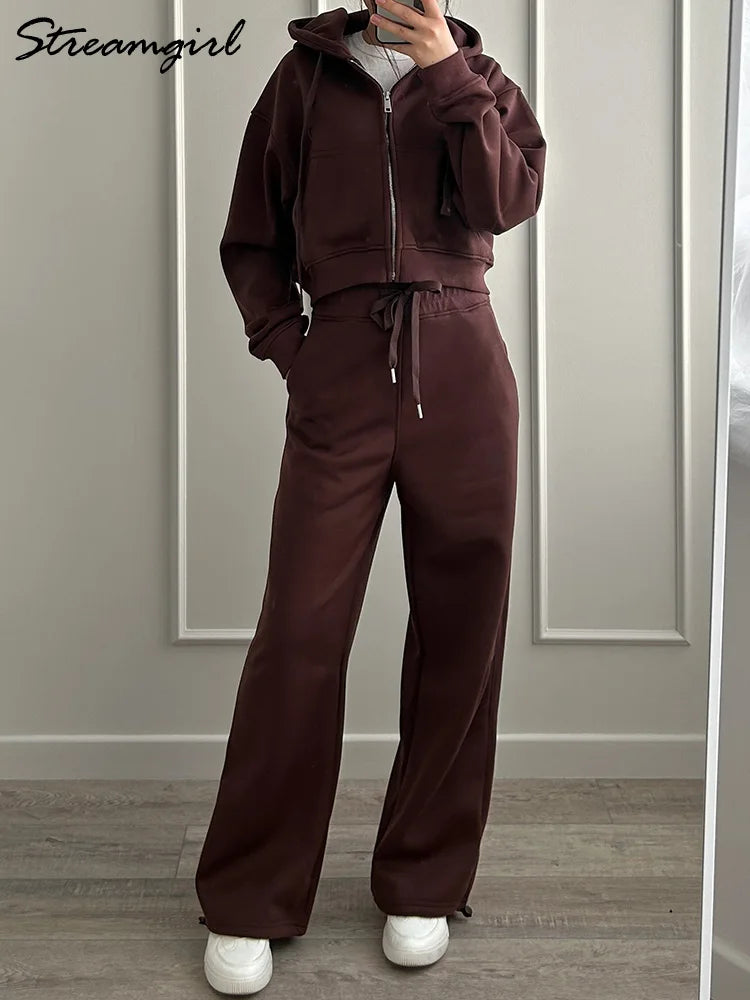 Women Tracksuits Winter Fleece Sweatsuit Brown Warm Crop Zipper Hoodies And Sweatpants Set For Women 2 Piece Velvet Pants Sets - Matrix-studios.com