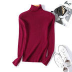 Casual Soft Polo-neck Jumper New Autumn Winter Women Knitted Turtleneck Sweater Fashion Slim Elasticity Solid Ribbed Pullovers - Matrix Studios