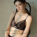 SUJIIN Summer Sexy Bra and Panty Sets for Woman Lace Comfort Thin Bras Set Women's Small Chest Wireless Lingeries Sexy Hot MX325 - Matrix Studios