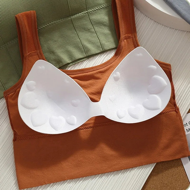 Breathable Sports Bra Anti-Sweat Fitness Top Women Seamless Yoga Bra Shockproof Crop Top Push Up Sport Bra Gym Workout Top - Matrix Studios