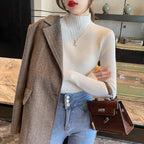 Winter Long Sleeve Mock Neck Knitted Women Sweater Pullover Slim Knit Sweater Women Tops Blusas Mujer De Moda 2024 Blusa J995 - Matrix Studios