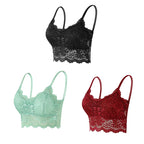 3PCS Women's Lace Bras Top Comfortable Bralette Solid Color Sexy Underwear Vest Female Hollow Out Wireless Lingerie Seamless Bra - Matrix Studios