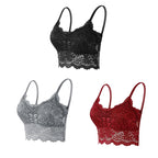 3PCS Women's Lace Bras Top Comfortable Bralette Solid Color Sexy Underwear Vest Female Hollow Out Wireless Lingerie Seamless Bra - Matrix Studios