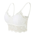 New Women Lace Bras Top Comfortable Bralette Solid Color Sexy Underwear Vest Female Hollow Out Wireless Lingerie Seamless Bra - Matrix Studios