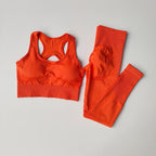 2PCS Sports Bra Women's Set Professional Fitness Tank Top Bra Shockproof Running Leggings Yoga Suit Beautiful Back Bra Clothing - Matrix-studios.com