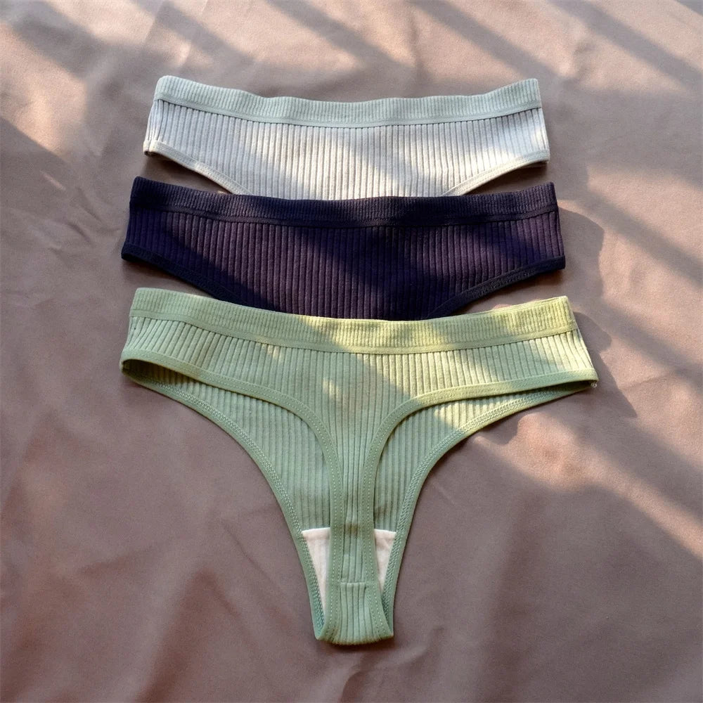 3 Pcs Seamless Ladies Ribbed Cotton Thong Simple Women's Low Waist Bikini Briefs Sports Girls Underwear Plus Size - Matrix Studios