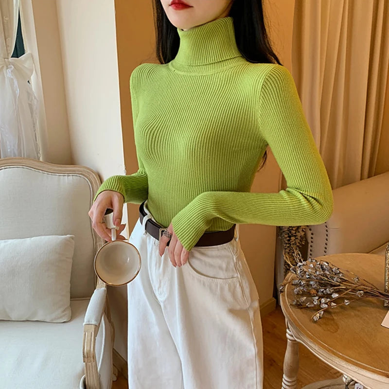2026 Autumn Winter Women Long Sleeve Knitted Foldover Turtleneck Ribbed Pull Sweater Soft Warm Femme Jumper Pullover Clothes - Matrix Studios