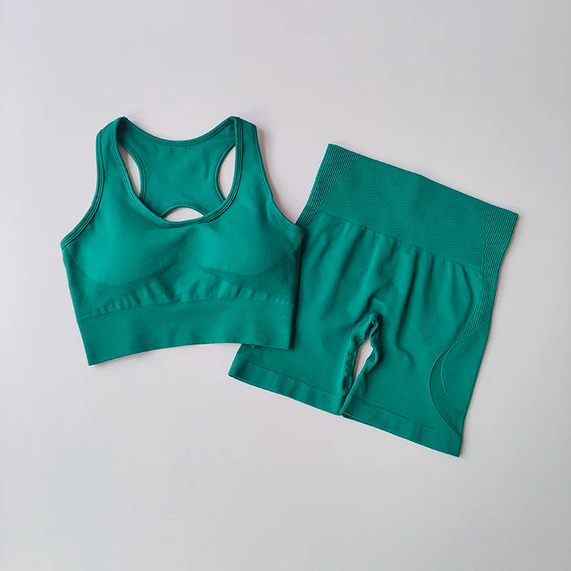 2 PCS Women's Seamless Yoga Set Sexy Sport Bra High Waist Sports Shorts Gym Fitness Sleeveless Workout Suit Sporstwear - Matrix-studios.com