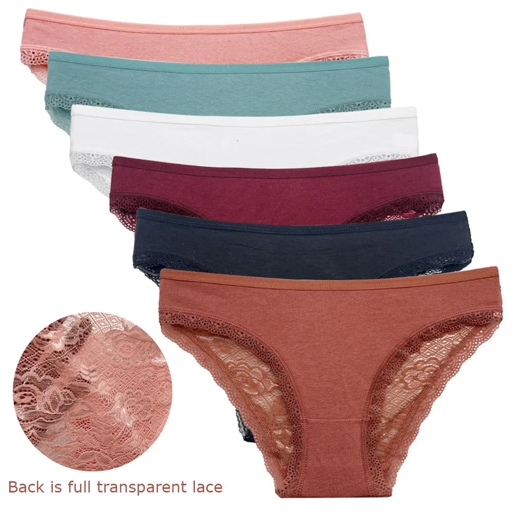 5 PCS/SET New Arrival Low Rise Ladies Sexy Lace Panty Underpants Panties For Women Lingerie Cotton Briefs - Matrix Studios