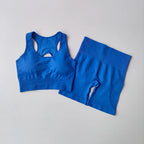 2 PCS Women's Seamless Yoga Set Sexy Sport Bra High Waist Sports Shorts Gym Fitness Sleeveless Workout Suit Sporstwear - Matrix-studios.com
