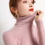 Heliar Women Fall Turtleneck Sweater Knitted Soft Pullovers Cashmere Jumpers Basic Soft Sweaters For Women 2026 Autumn Winter - Matrix Studios