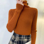 Heliar Women Fall Turtleneck Sweater Knitted Soft Pullovers Cashmere Jumpers Basic Soft Sweaters For Women 2026 Autumn Winter - Matrix-studios.com