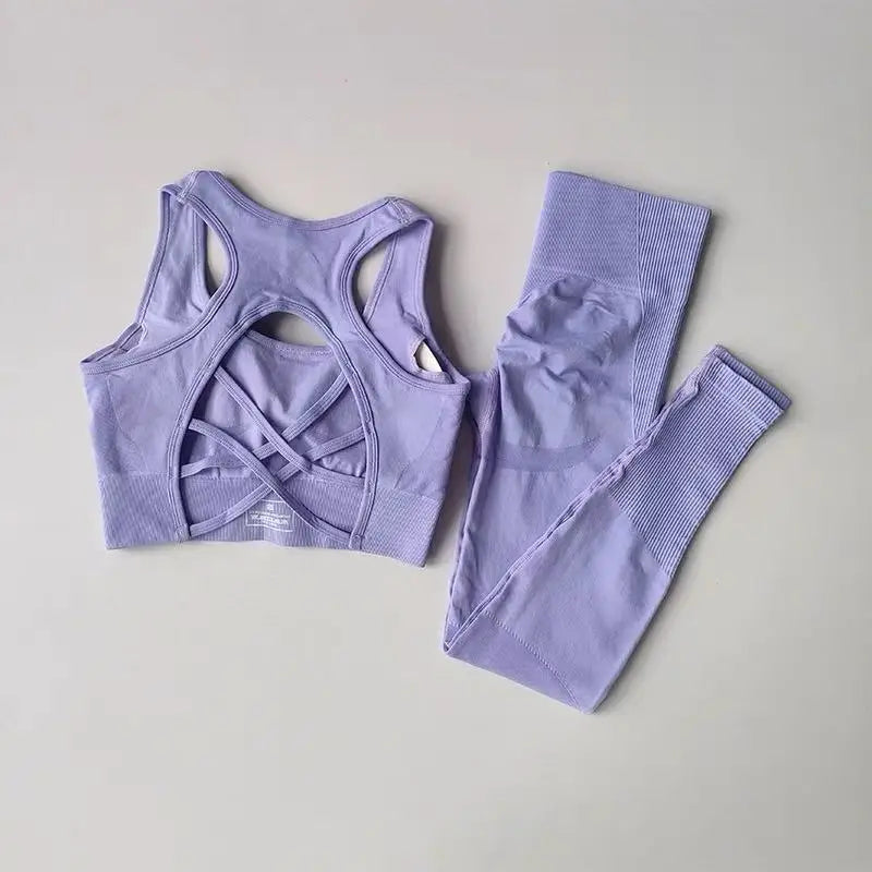 2PCS Sports Bra Women's Set Professional Fitness Tank Top Bra Shockproof Running Leggings Yoga Suit Beautiful Back Bra Clothing - Matrix-studios.com