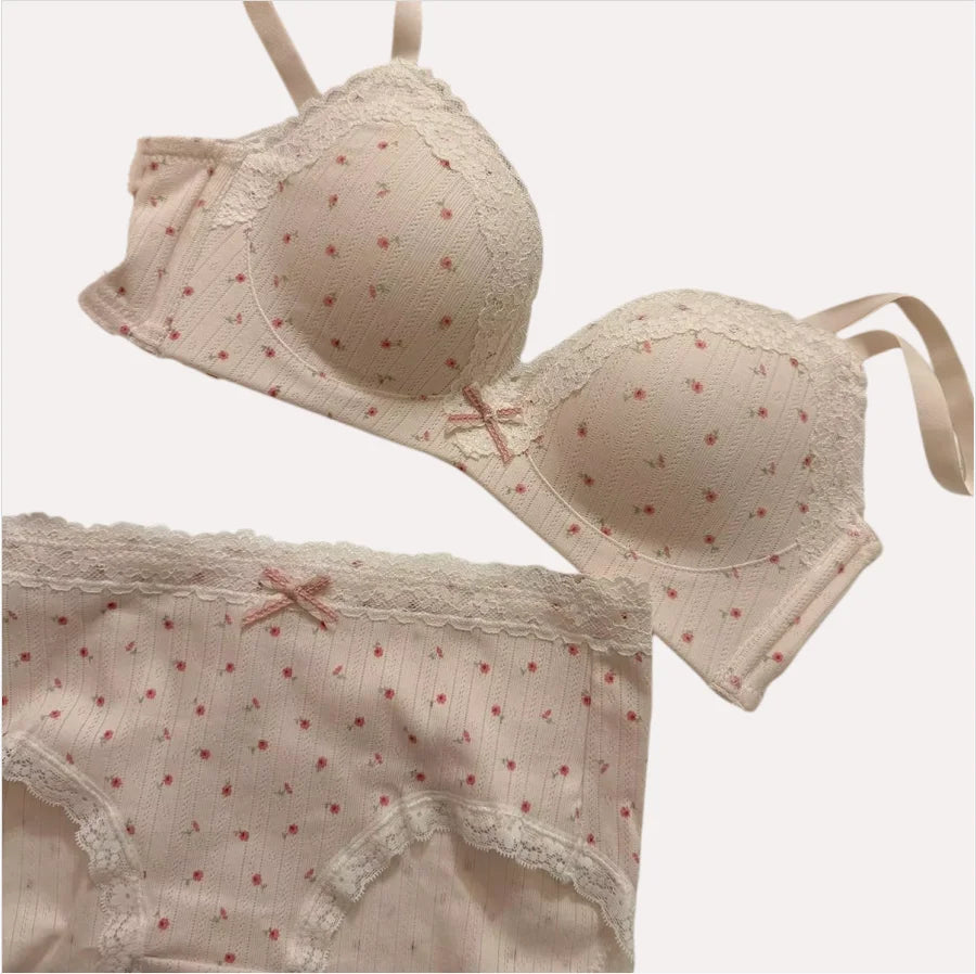 Teenage Sexy Lace Floral Bra Set Comfortable Non-steel Ring Beauty Back Small Breasts Gathered up Support Anti-Sagging Bra Set - Matrix-studios.com