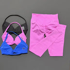 2Pcs HISTELLO Seamless Yoga Sports Set for Women Resistant Backless Bra Pilates Fitness Workout Running Leggings Gym Suit - Matrix-studios.com