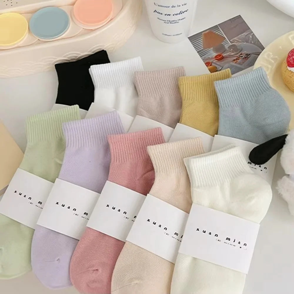 10 Pairs Women Pure Sports Socks Macaron Candy Colored Short Socks Soft Comfortable Breathable Sweat Absorbing Simple Fashion Al - Matrix Studios