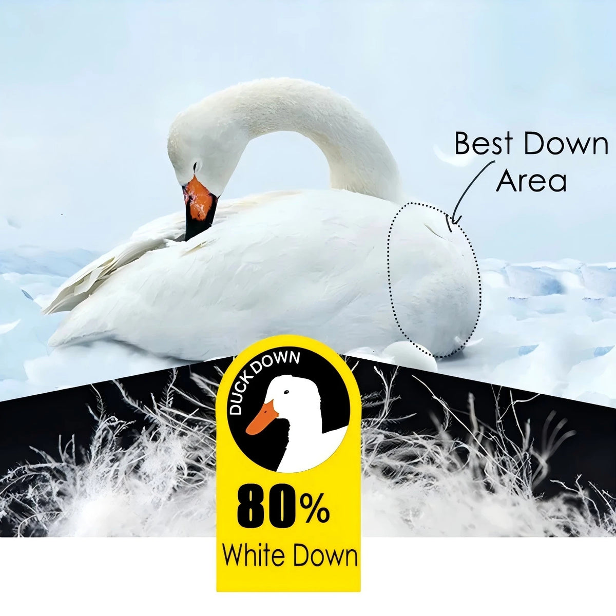 Men Winter New White Duck Down Jacket Warm Thick Stand Collar Windproof Puffer Jacket High Quality Waterproof Jacket Male 8XL - Matrix Studios