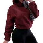 Winter Korean Fashion Bear Ears Cute Loose Hoodie Fluffy Hooded Warm Sweatshirt Long Sleeve Top Solid Pullover Clothes For Women - Matrix Studios