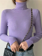 Heliar Women Fall Turtleneck Sweater Knitted Soft Pullovers Cashmere Jumpers Basic Soft Sweaters For Women 2026 Autumn Winter - Matrix-studios.com