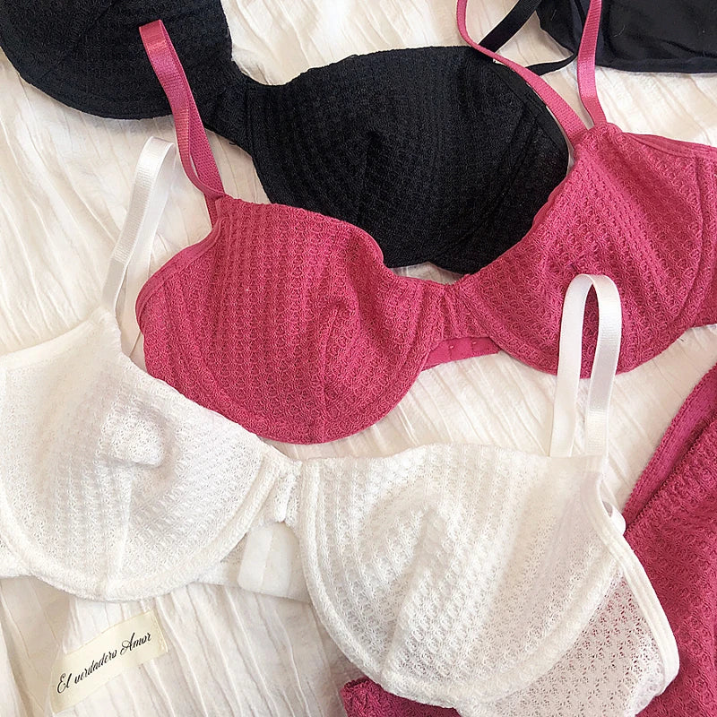 Summer 6 Color Women Underwear Sexy French Bralette Push Up Bra Set Ultra Thin Thread Fabric Breathable Lingerie With Thong Sets - Matrix-studios.com