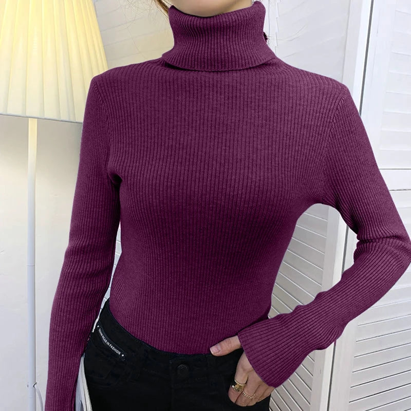 Heliar Women Fall Turtleneck Sweater Knitted Soft Pullovers Cashmere Jumpers Basic Soft Sweaters For Women 2026 Autumn Winter - Matrix-studios.com