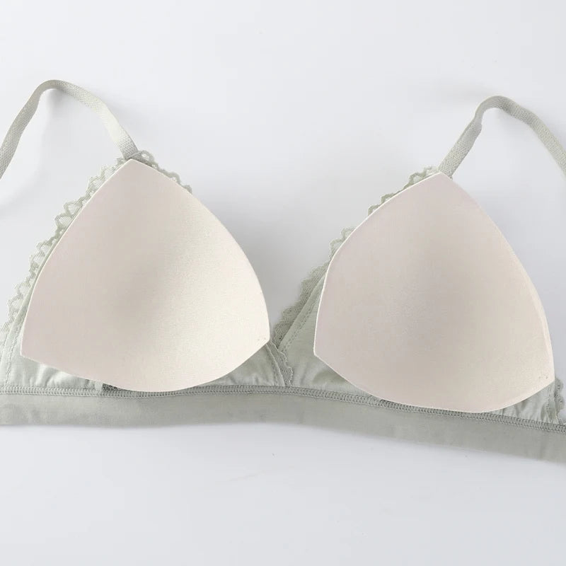 Women Lace Bra And Panties Set V-neck Push Up Bralette Sexy Lingerie Low Waist Briefs Female Non-wire Brassiere Underwear Set - Matrix-studios.com