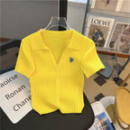 Summer Yellow Knitted Polo Shirt Women's 2024 New French V-Neck Letters High Waist Slim-Fit Ice Silk Top Short-Sleeved T-Shirt - Matrix-studios.com