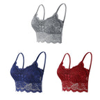 3PCS Women's Lace Bras Top Comfortable Bralette Solid Color Sexy Underwear Vest Female Hollow Out Wireless Lingerie Seamless Bra - Matrix Studios