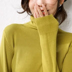 Autumn Winter Sweater Turtleneck Slim Fit Basic Pullovers 2025 Fashion Korean Knit Tops Bottoming Womens Sweater Stretch Jumpers - Matrix Studios