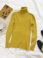 Turtleneck Sweater Womens 2026 Autumn Winter Tops Korean Slim Women Pullover Jumper Knitted Sweater Pull Femme Hiver Truien - Matrix-studios.com