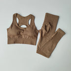 2PCS Sports Bra Women's Set Professional Fitness Tank Top Bra Shockproof Running Leggings Yoga Suit Beautiful Back Bra Clothing - Matrix-studios.com