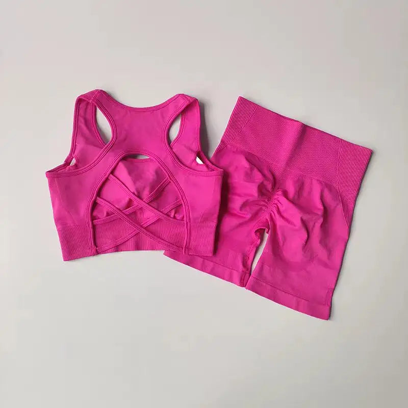 2 PCS Women's Seamless Yoga Set Sexy Sport Bra High Waist Sports Shorts Gym Fitness Sleeveless Workout Suit Sporstwear - Matrix-studios.com