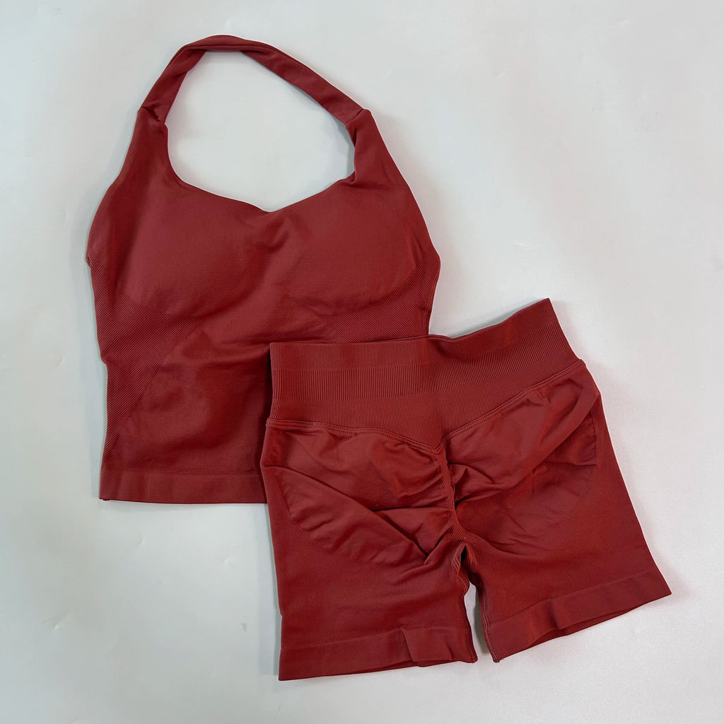 No Logo 2 Pieces Gym Set Women Backless Halter Tops High Waist Seamless Shorts Gym Suit Fitness Clothes Sportswear Workout Sets - Matrix-studios.com