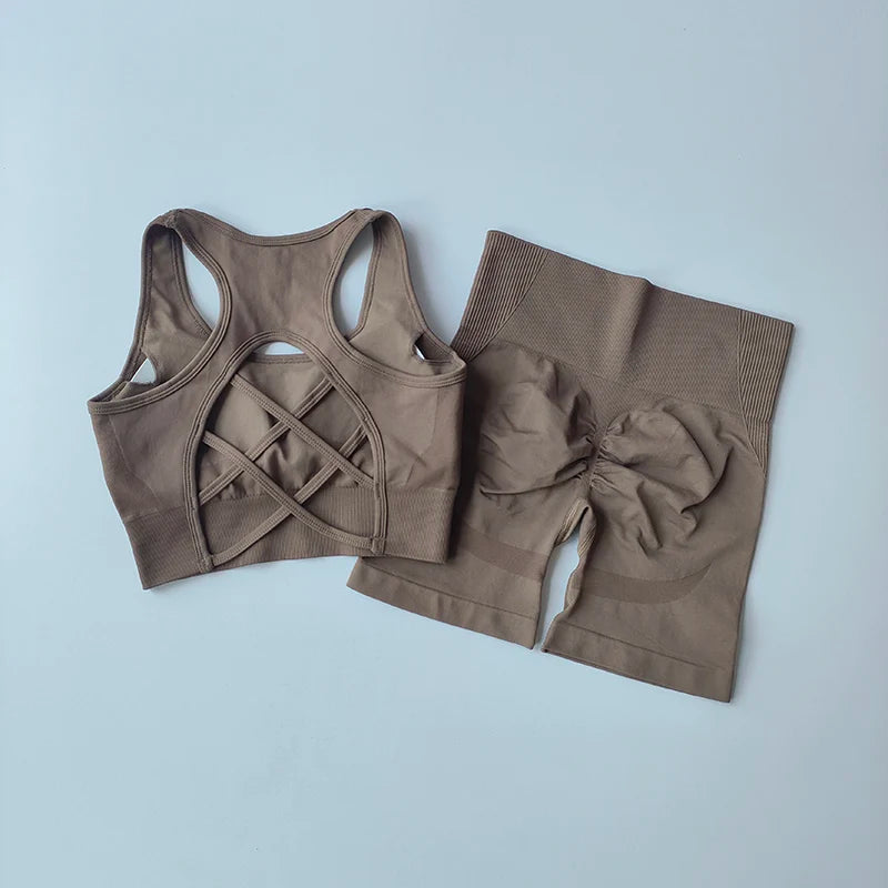 2 PCS Women's Seamless Yoga Set Sexy Sport Bra High Waist Sports Shorts Gym Fitness Sleeveless Workout Suit Sporstwear - Matrix-studios.com