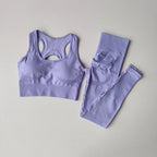 2PCS Sports Bra Women's Set Professional Fitness Tank Top Bra Shockproof Running Leggings Yoga Suit Beautiful Back Bra Clothing - Matrix-studios.com