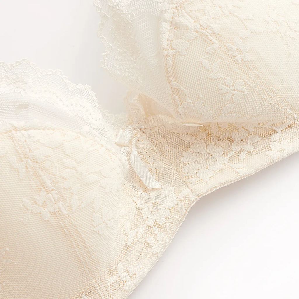 Summer Sexy Lace Embroidery Women Lingerie Set French Thin Cup Push Up Bra Comfort Breathable Underwear Ladies Bra Briefs Set - Matrix-studios.com