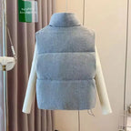 Autumn Winter Gray Cotton Vest Women Thick Warm Sleeveless Coat Outerwear 2025 New Chic Stand-up Collar Cotton Padded Waistcoat - Matrix Studios
