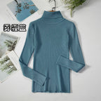 2026 Simple Women Turtleneck Sweater Winter Fashion Pullover Elastic Knit Ladies Jumper Casual Solid Black Female Basic Tops - Matrix Studios