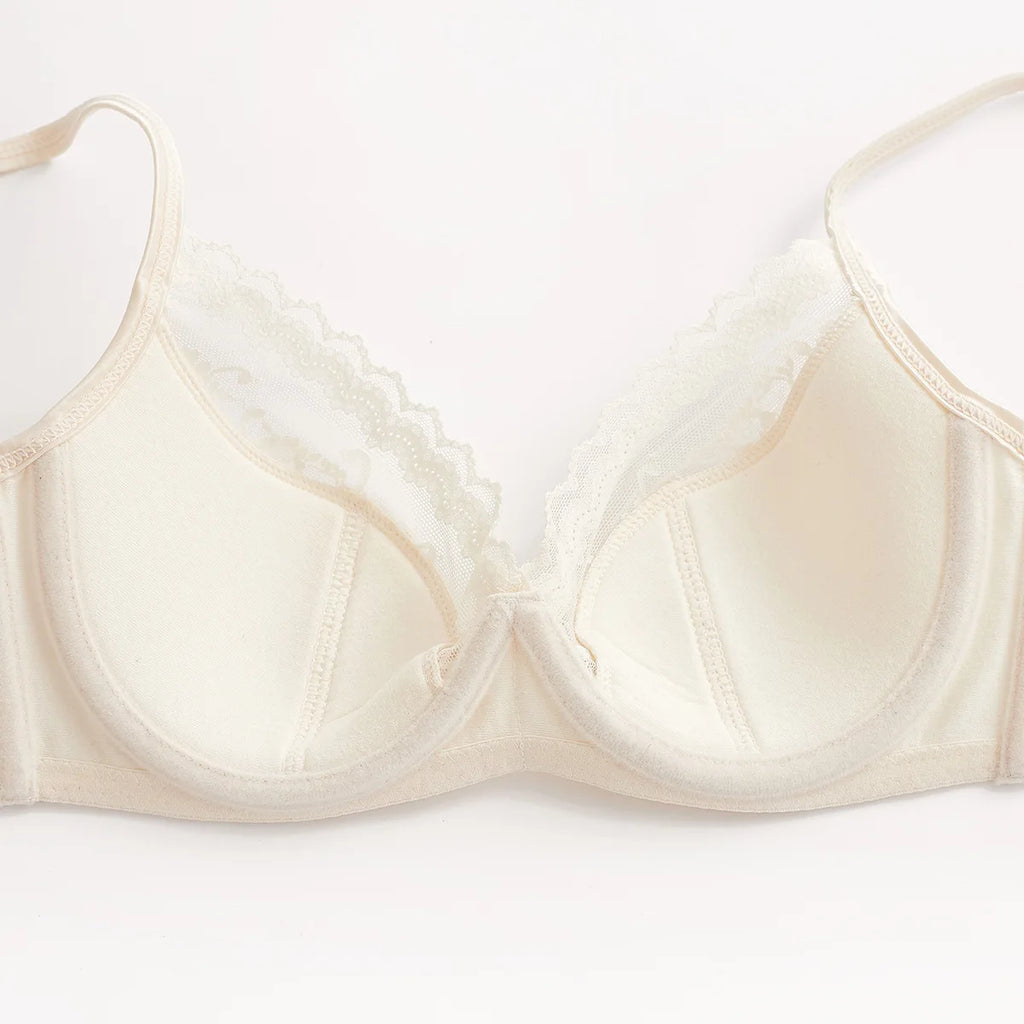 Summer Sexy Lace Embroidery Women Lingerie Set French Thin Cup Push Up Bra Comfort Breathable Underwear Ladies Bra Briefs Set - Matrix-studios.com