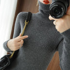 2026 Autumn Winter Turtleneck Sweater Women Thick Warm Soft Female Slim Pullovers Women Sweater Ladies Solid Versatile Knitted - Matrix Studios